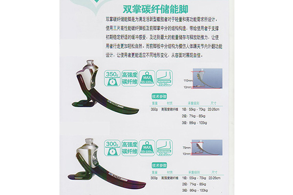 <b>雙掌碳纖儲能腳</b>