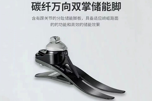 布萊齊福德萬向雙掌儲能腳